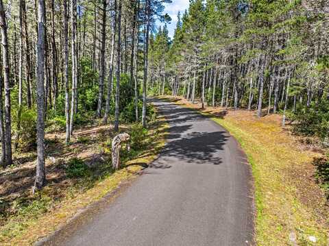 Street Ledbetter Estates, Ocean Park, WA 98640