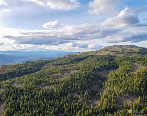 Greyback Mtn Road, Goldendale, WA 98620