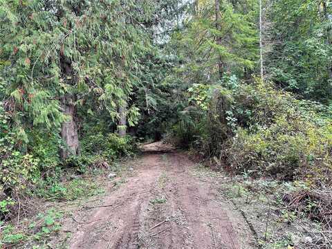 Forest Glen Lane, Camano Island, WA 98282