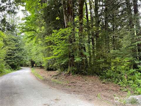 Emerald Lane, Marblemount, WA 98267