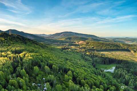 Elkhorn Lane, Quilcene, WA 98376