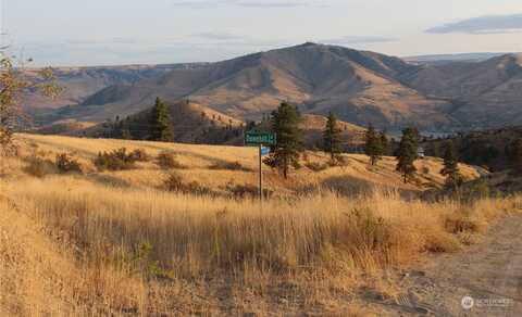 Downhill Lane, Chelan, WA 98816