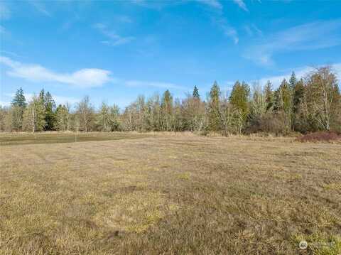 Crabill Road, Toutle, WA 98649