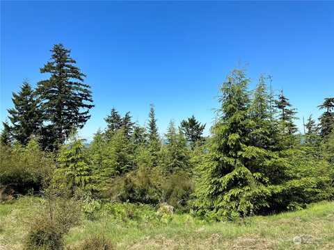 Coastline Drive, Orcas, WA 98245