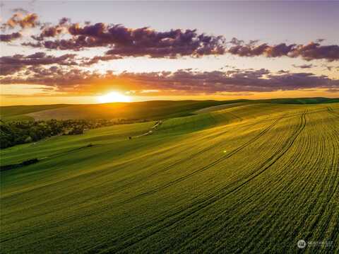 Biscuit Ridge Road, Walla Walla, WA 99362