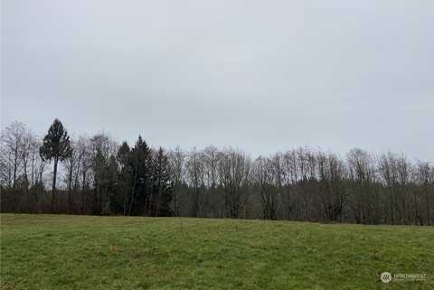 Birchfield Commons Lot E Unit E, Onalaska, WA 98570