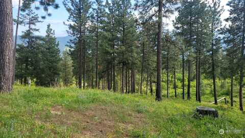 7-1 Owl Ridge Drive, Cle Elum, WA 98922