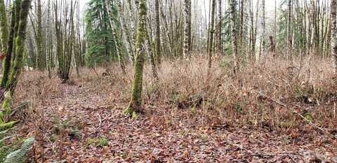 0 131 Xx Mountain Loop Highway, Granite Falls, WA 98252