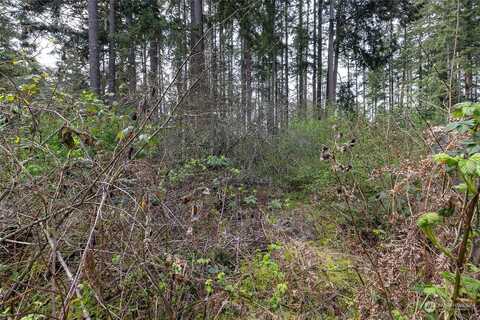 (Lot 3) 95Th Avenue Ct E, Graham, WA 98338