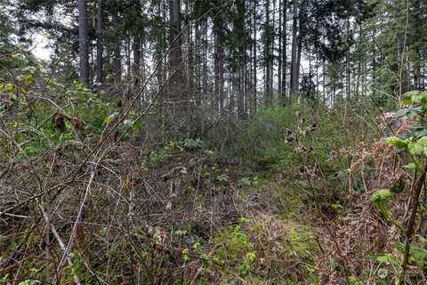 (Lot 2) 95Th Avenue Ct E, Graham, WA 98338