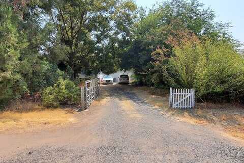 Lewis Oak, GRIDLEY, CA 95948