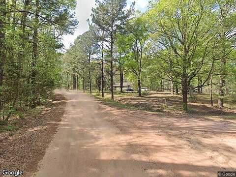 Elderberry, SHEPHERD, TX 77371