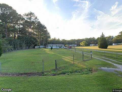 Sycamore Tree, LEXINGTON, SC 29073