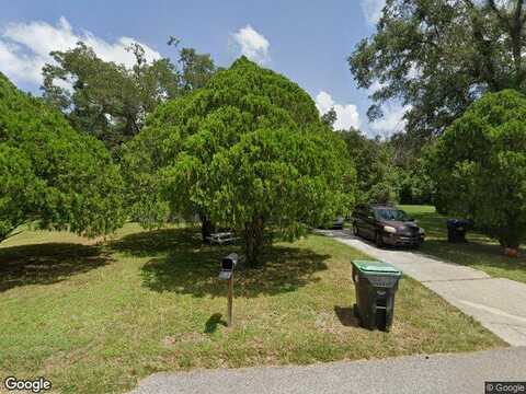 Holly, MOUNT DORA, FL 32757