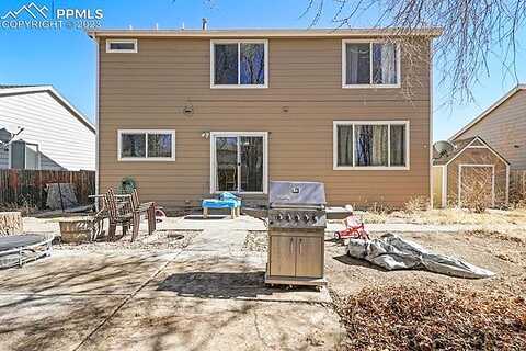 Canyon Wren, COLORADO SPRINGS, CO 80916