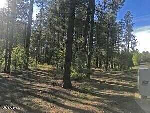 Skywood Drive 38, Pinetop, AZ 85935