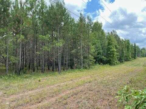 0 Robert Rozier Rd (Lot H), Eastman, GA 31023