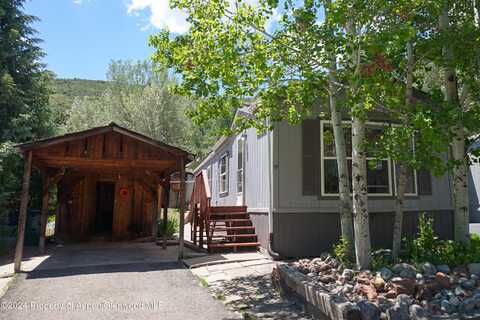 91 WILDCAT, Aspen, CO 81611