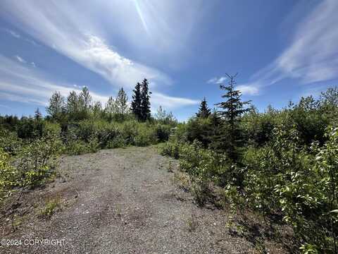 66235 Bev Avenue, Ninilchik, AK 99639