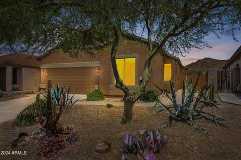 6590 E HACIENDA LA NORIA Lane, Gold Canyon, AZ 85118