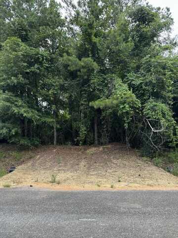 29761 Meadow Lane (Lot 33), Andalusia, AL 36421