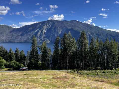 Lt 3 Blk 1 MOOSE TRACK / E CAPE HORN RD, Bayview, ID 83803