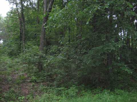 Lot 4 ALGOMA STREET, Stevens Point, WI 54482