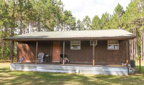 134 GIBBS BRIDGE RD, Uvalda, GA 30473