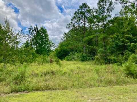 18ac Campbell Road, DeFuniak Springs, FL 32435