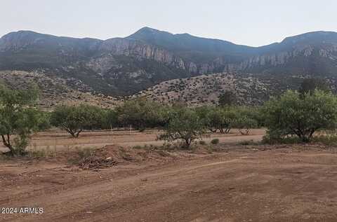 1.2 Acres E Ramsey Canyon Road, Hereford, AZ 85615