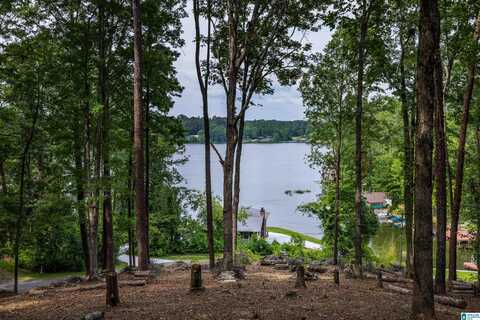 58 E SUNSET BOULEVARD, ONEONTA, AL 35121