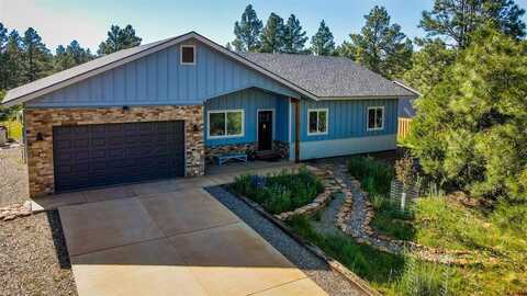 1223 Trails Boulevard, Pagosa Springs, CO 81147