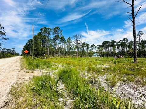 0000 Pelican Pl, Perry, FL 32348