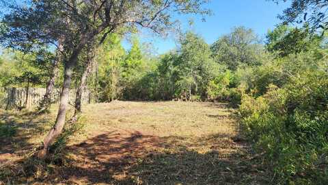 Lot 19 Greenbriar Lane, Santa Rosa Beach, FL 32459