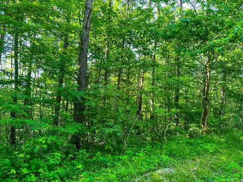 0 Fisher Ridge Rd Tract 2, Fleming, OH 45729