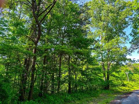 0 Fisher Ridge Rd Tract 7, Fleming, OH 45729