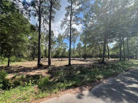 Tbd Lot 3 Deerwood Drive, Plantersville, TX 77363