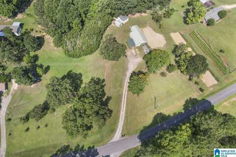 536 OLD PATTON FERRY ROAD, ADGER, AL 35006