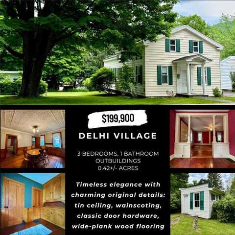 195 Main Street, Delhi, NY 13753