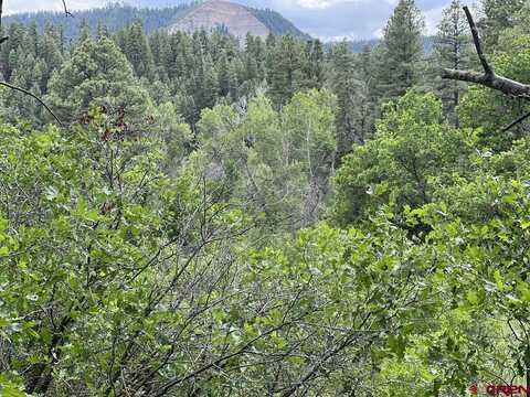 152 Hawthorne Drive, Pagosa Springs, CO 81147