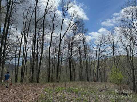 99999 Hickory Forest Road, Fairview, NC 28730