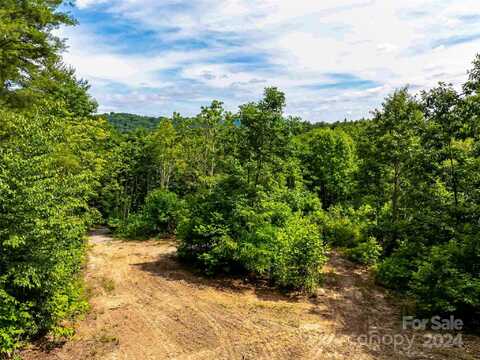 27 Fig Tree Lane, Asheville, NC 28803