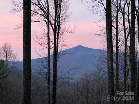 00000 Shoal Creek Road, Burnsville, NC 28714