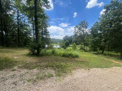 26 Susan Wilson ln, Pocahontas, AR 72455