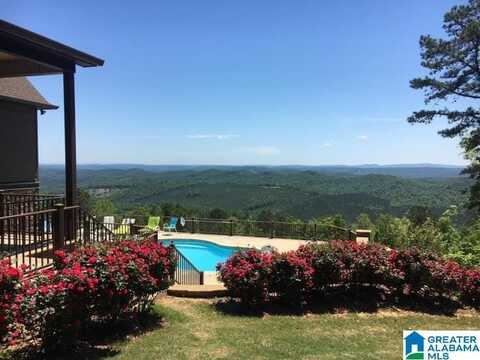 8879 COUNTY ROAD 27, SPRINGVILLE, AL 35146