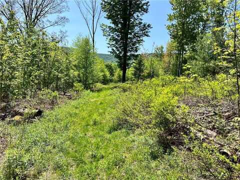 Lot 63 Homestead Lane, Windham, NY 12496