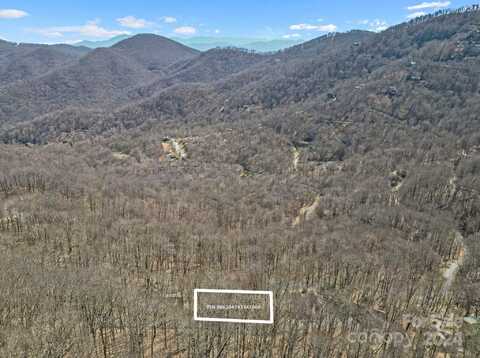 10 Chestnut Village Lane unit: 9 & 10, Mars Hill, NC 28754