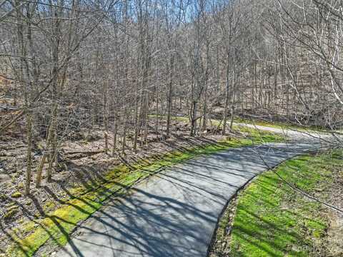 18 Chestnut Village Lane, Mars Hill, NC 28754