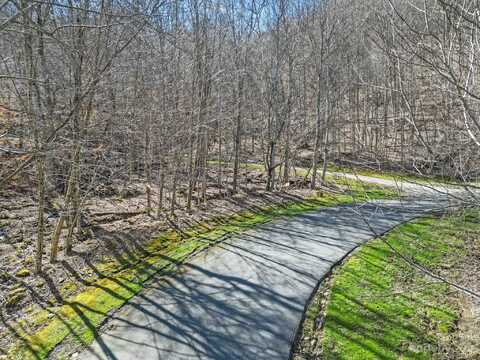 16 Chestnut Village Lane unit: 16, Mars Hill, NC 28754