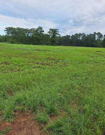 Lot 7 4.98 Acres Fire Tower Rd., Columbia, MS 39429